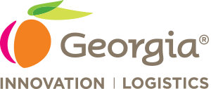 Georgia Centers of Innovation Logo